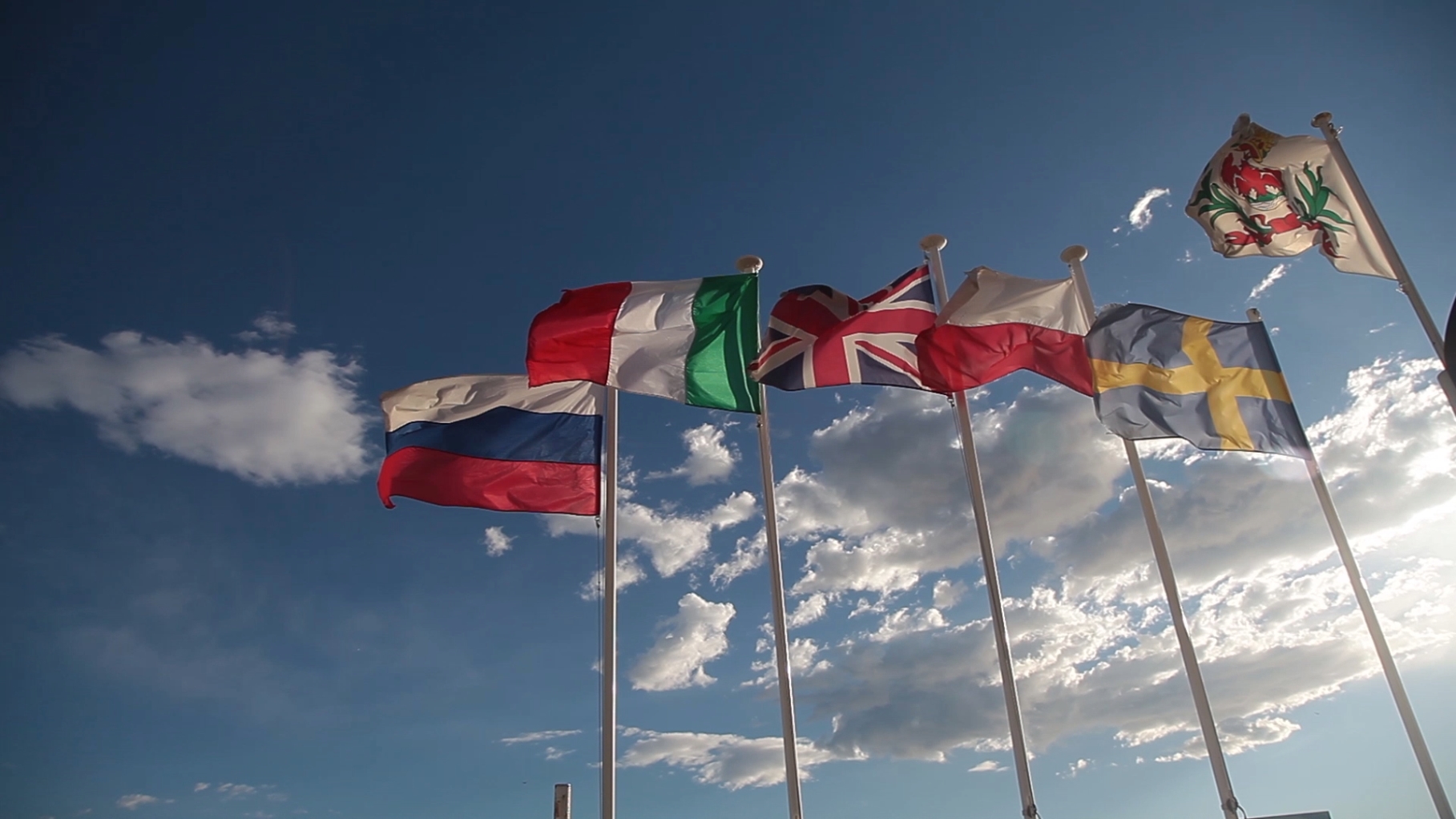 Flags for Freedom